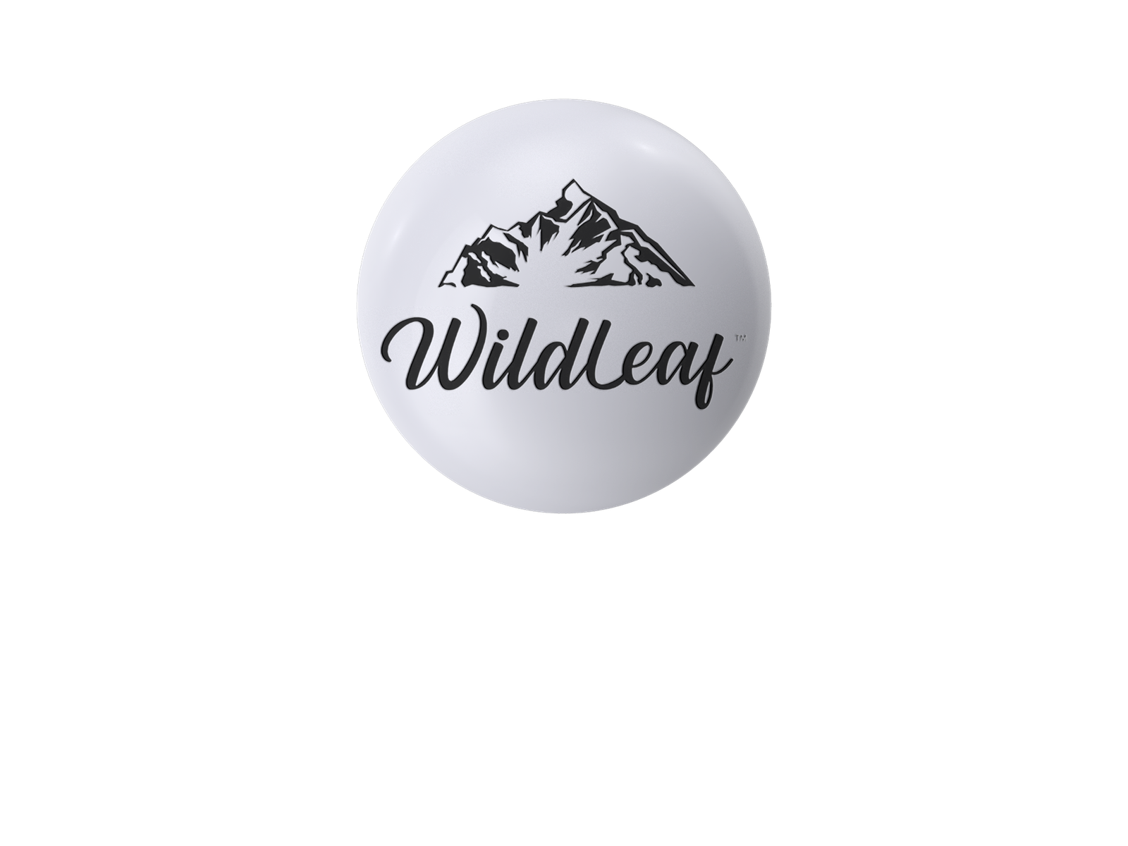 Negative Space Logos:

The term "negative space" refers to the practice of leaving blank areas in a visual representation of a symbol, shape, or image. Depending on the context and your goals, the effect may be subtle or blatant. For example, Fed Ex, WWF, etc. 

In most cases, a negative space logo will feature two distinct images: a surrounding element and a contained one. It could also be two letters or a combination of letters plus a shape.